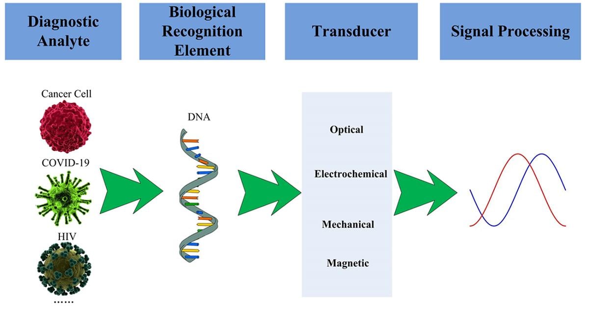 Graphical abstract